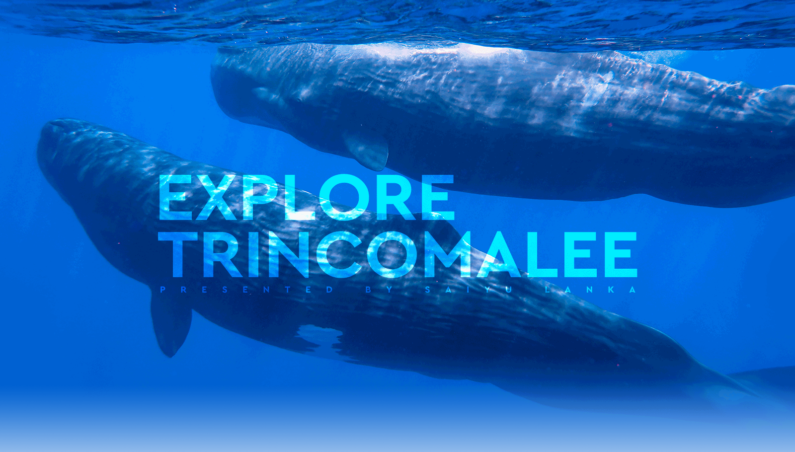 EXPLORE TRINCOMALEE