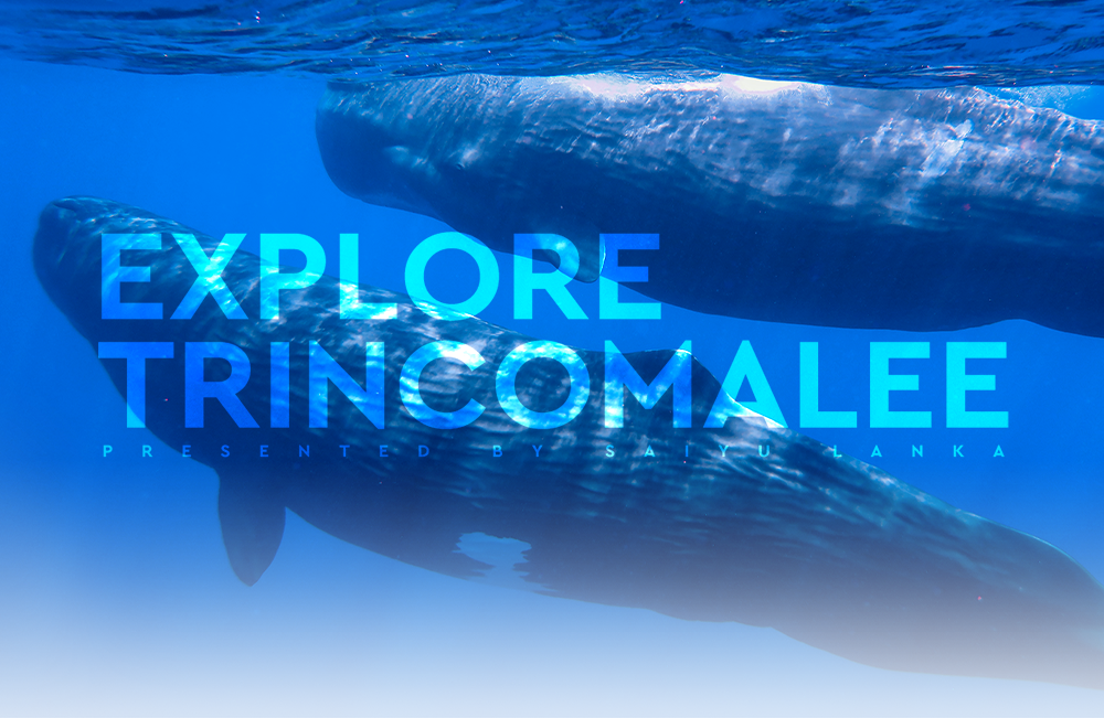 EXPLORE TRINCOMALEE