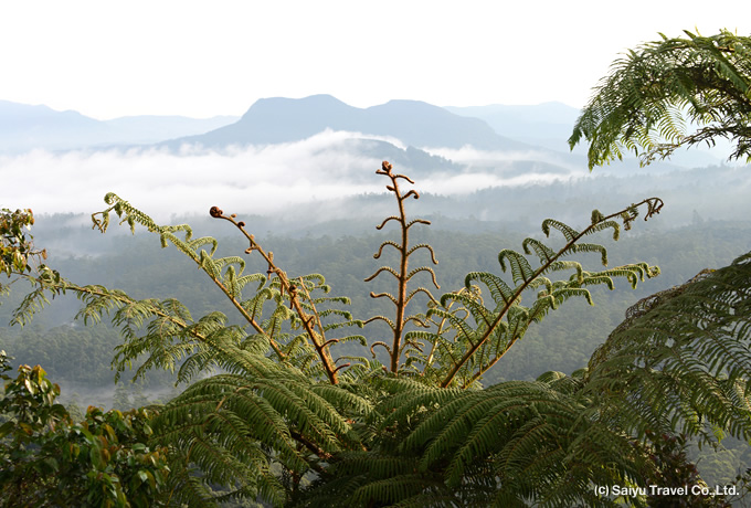 The Horton Plains National Park